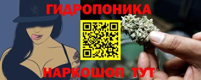 тгк Дмитров